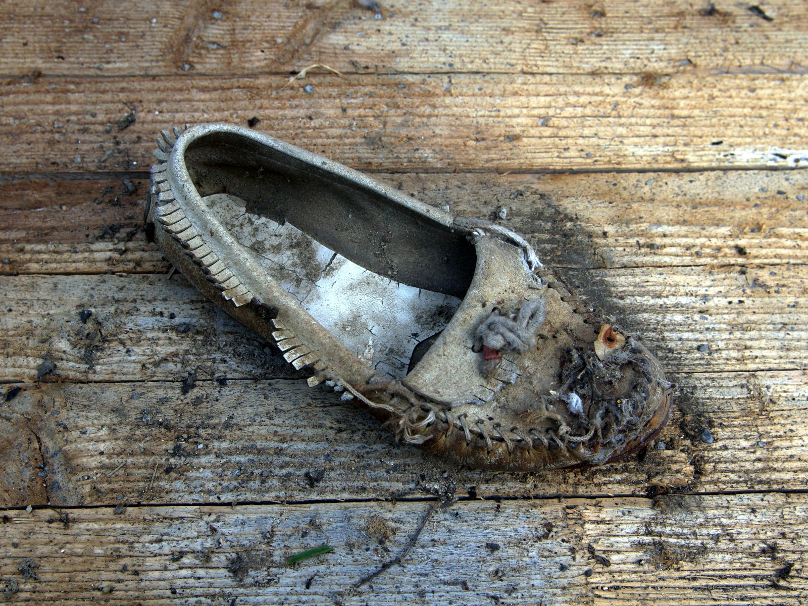 steff ulbrich: segni di scarpe