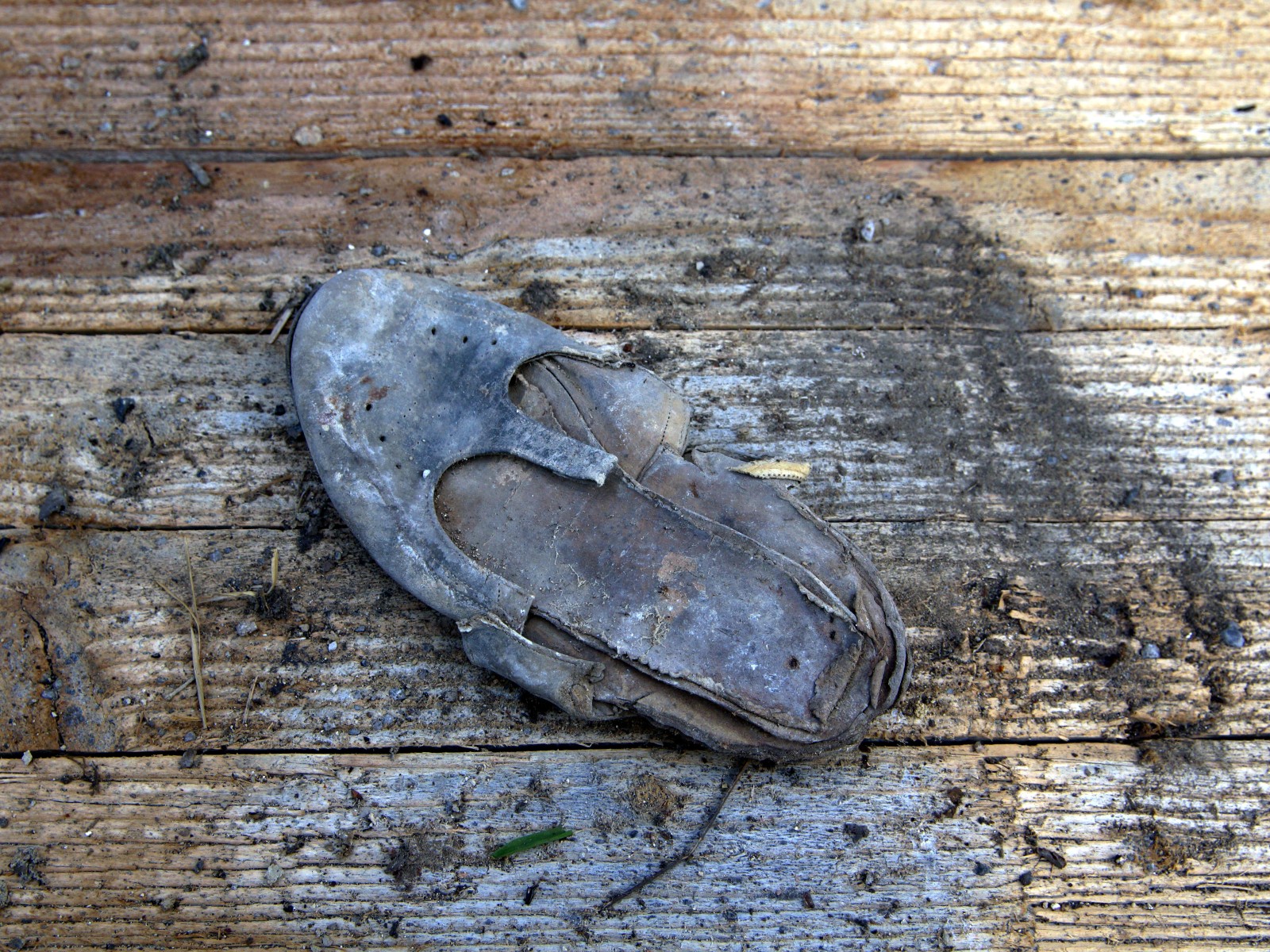 steff ulbrich: segni di scarpe