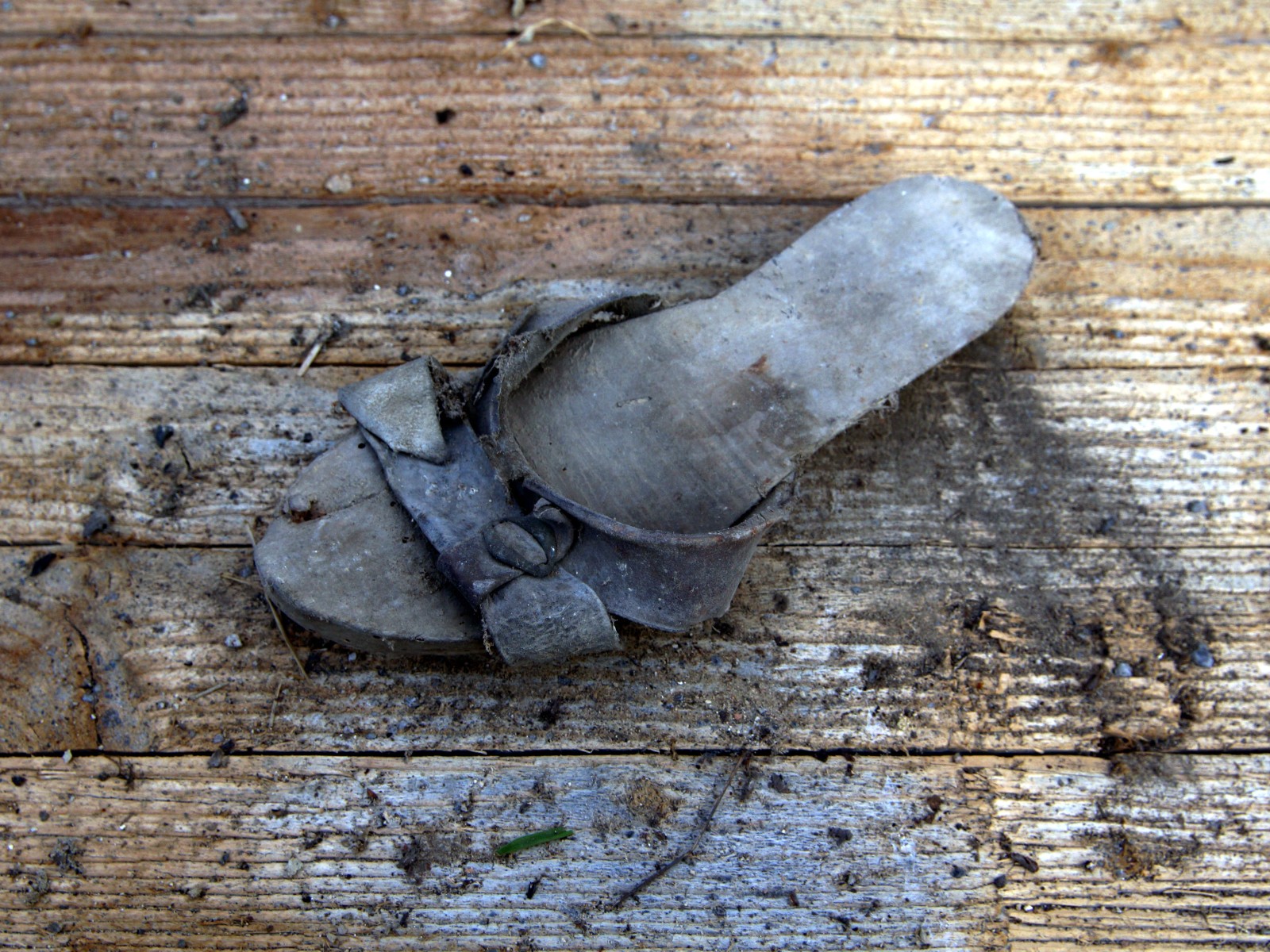 steff ulbrich: segni di scarpe