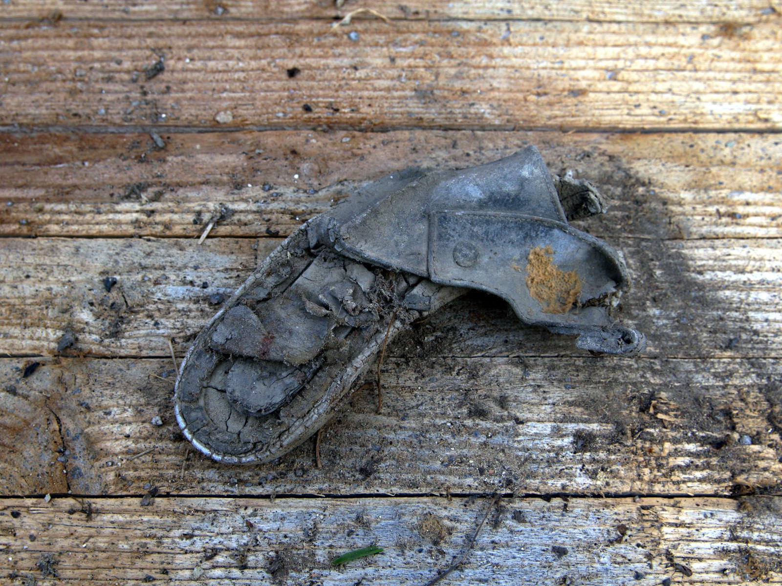 steff ulbrich: segni di scarpe