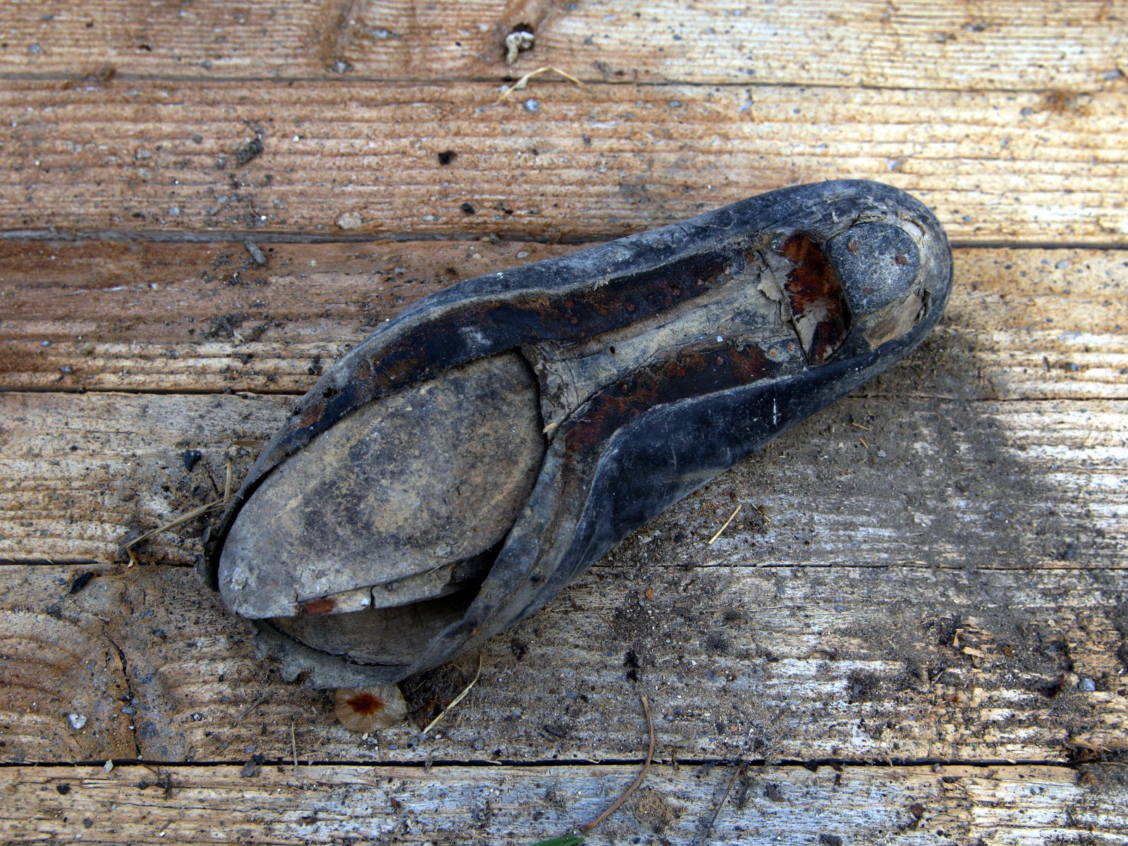 steff ulbrich: segni di scarpe