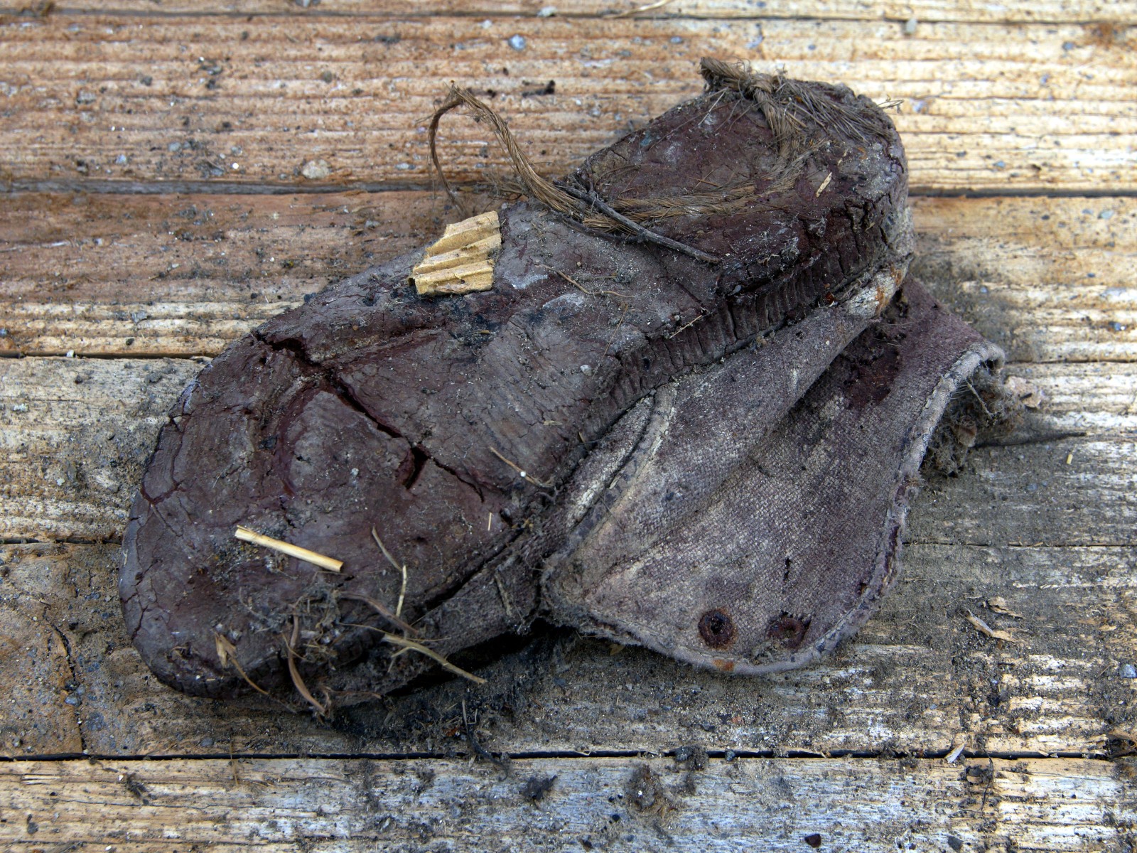 steff ulbrich: segni di scarpe