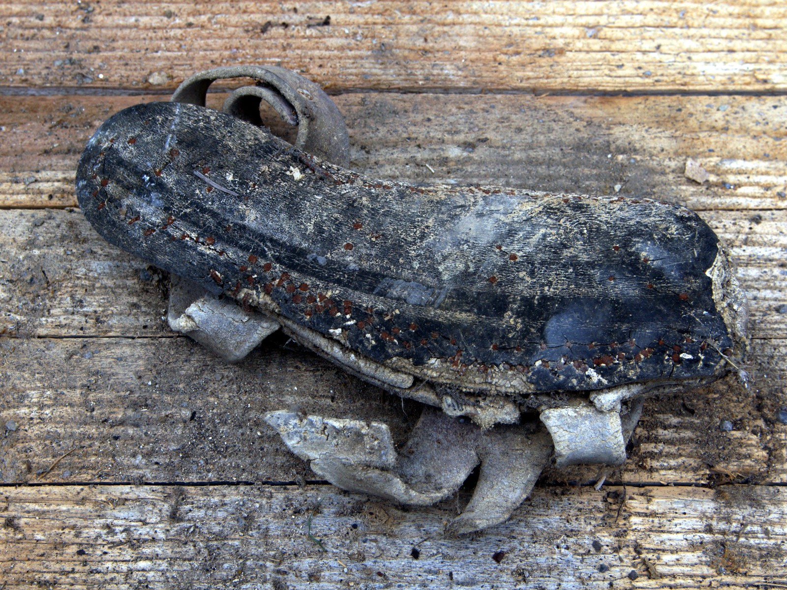 steff ulbrich: segni di scarpe