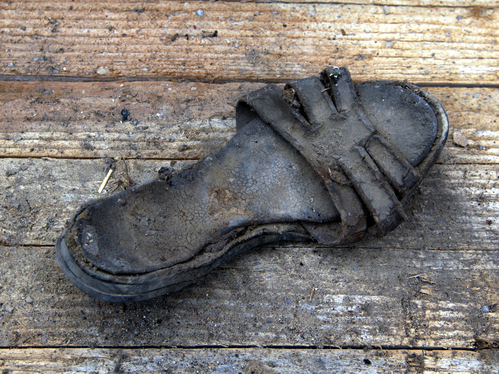 steff ulbrich: segni di scarpe