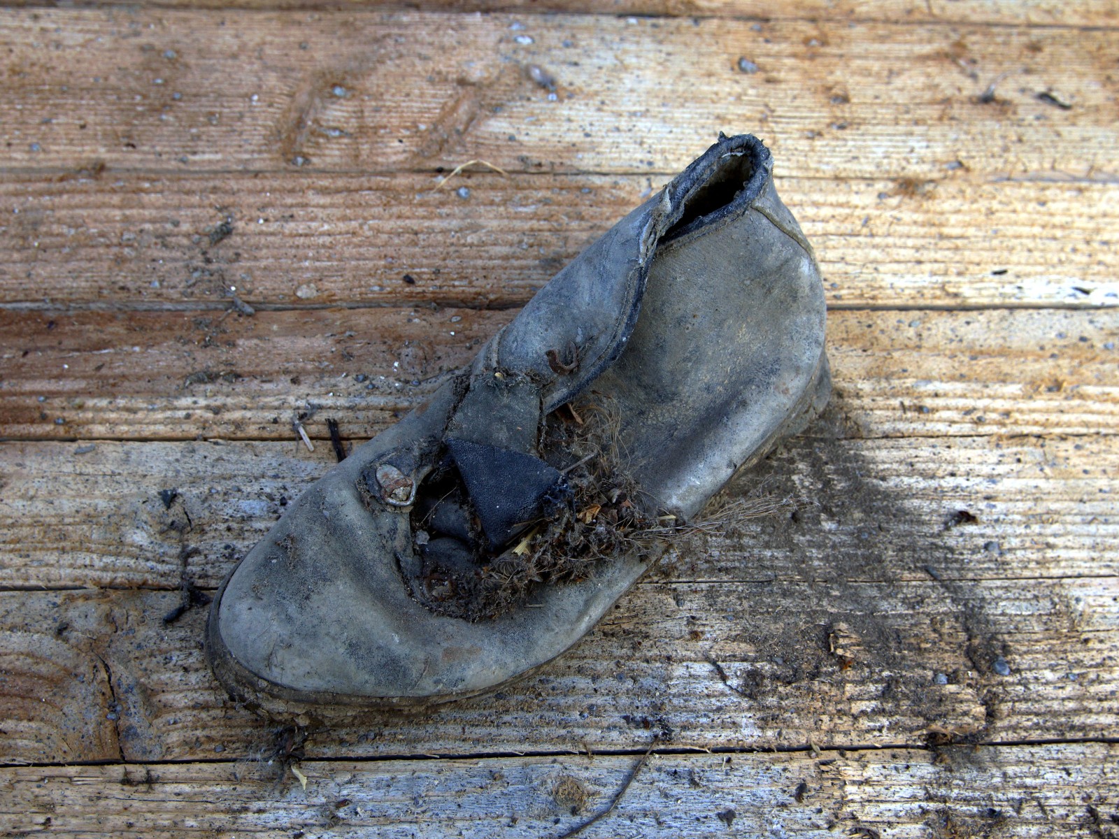 steff ulbrich: segni di scarpe