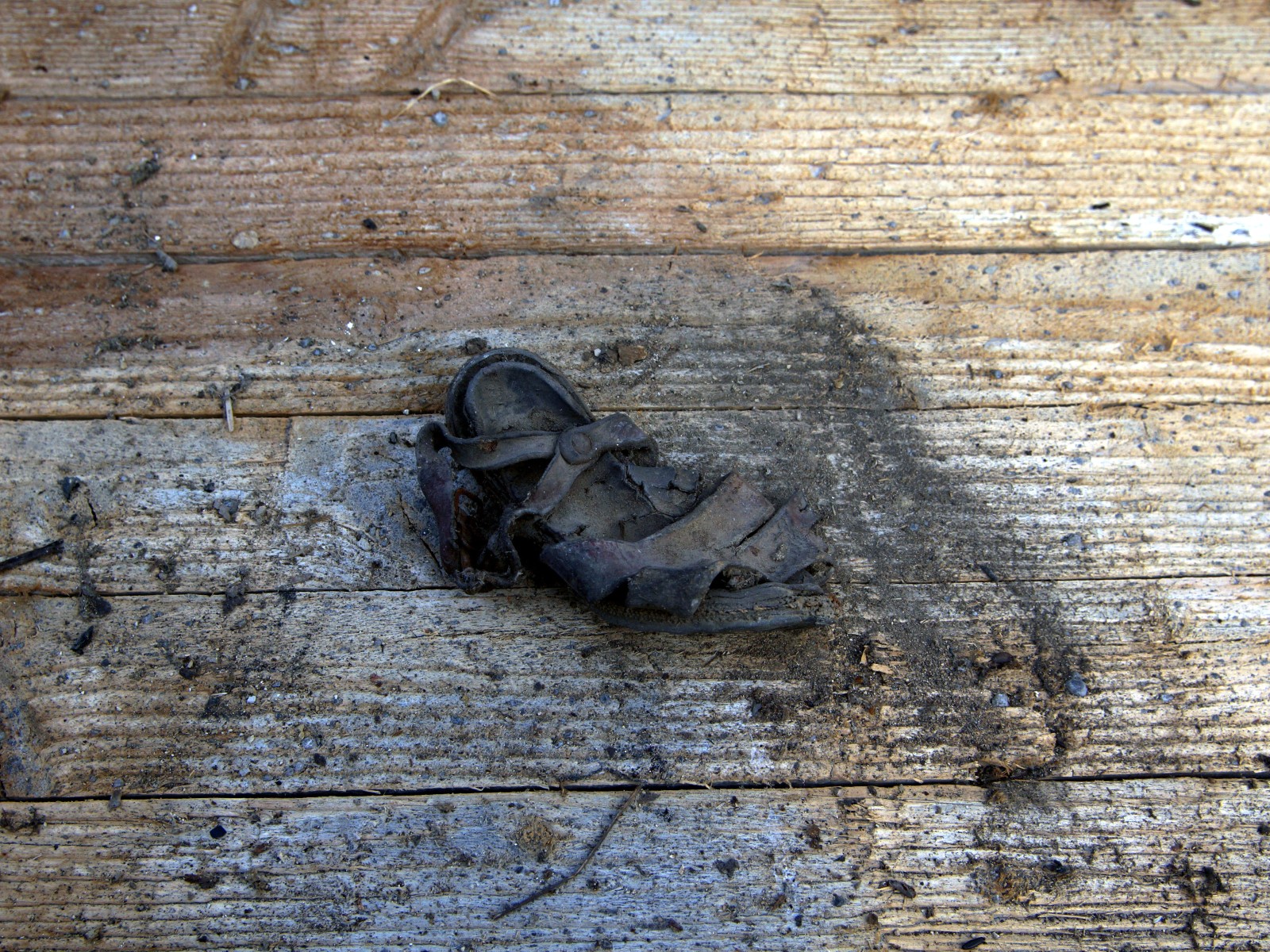 steff ulbrich: segni di scarpe